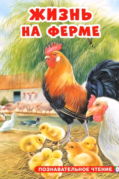Фламинго. Жизнь на ферме