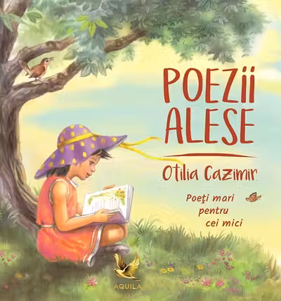 Poezii ales