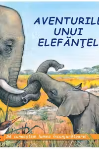 Aventurile unui elefantel
