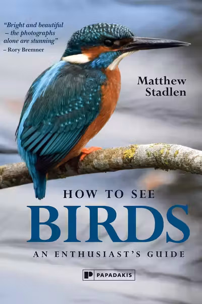 How to See Birds