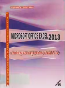 Microsoft Office Excel 2013 - Teorie si aplicatii pentru clasa a X-a
