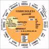 Verbusoleta Spaniola