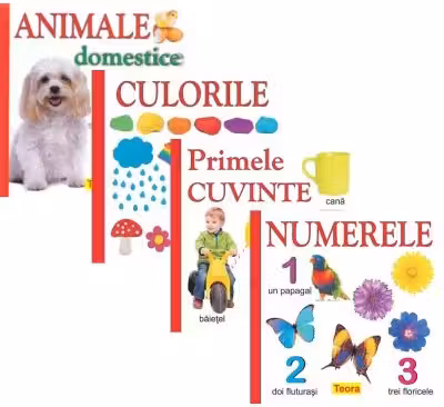 Pachet 4 carti pentru copii, culorile, animele domestice, numerele, primele cuvinte