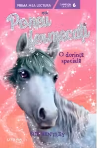 Poneii fermecati - O dorinta speciala