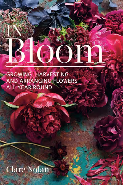In Bloom