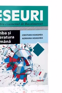 Eseuri pentru examenul de Bacalaureat – Limba si literatura romana