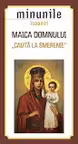 Minunile icoanei Maica Domnului Caută la Smerenie