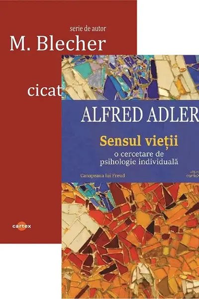 Pachet 2 cărți: Inimi cicatrizate + Sensul vieții