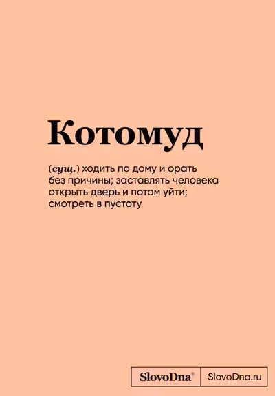 Блокнот SlovoDna. Котомуд