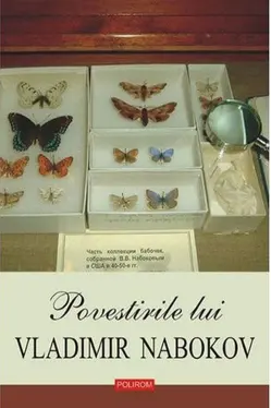 Povestiri