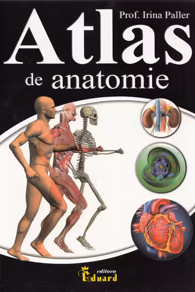 Atlas de anatomie