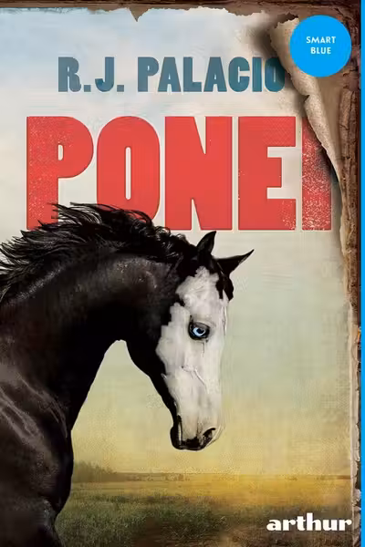 Ponei