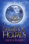 Tanarul Sherlock Holmes. Gheata neagra vol. 3