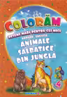 Colorăm desene mari pentru cei mici: Animale sălbatice din junglă