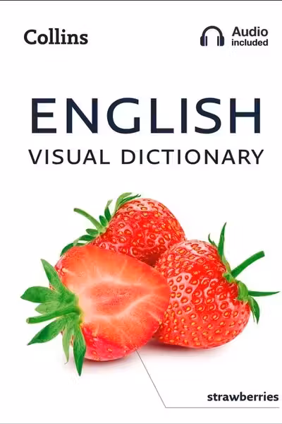 English Visual Dictionary