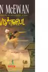 Visatorul