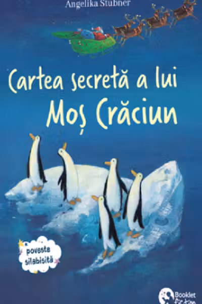 Cartea secreta a lui Mos Craciun - Intamplari de Craciun