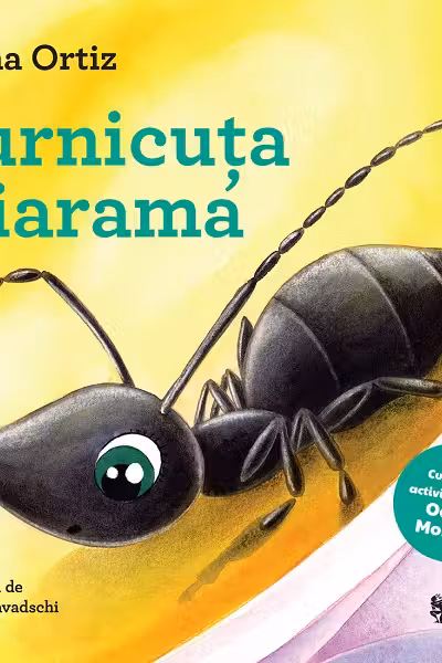Furnicuta Diarama