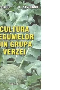 Cultura legumelor din grupa verzei