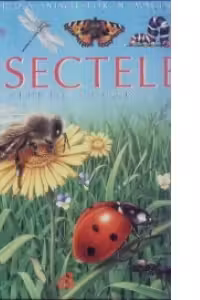 Insectele pe intelesul copiilor