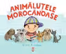 Animalutele morocanoase