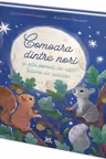 Comoara dintre nori