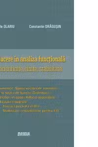 Introducere in analiza functionala. Matrici infinite, finite, stabilitate