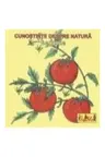Legume. Cunostinte despre natura