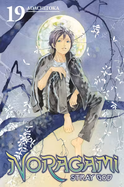 Noragami: Stray God - Volume 19