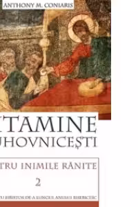 Vitamine duhovnicești pentru inimile rănite 2