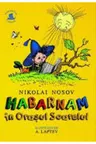 Habarnam in orasul soarelui