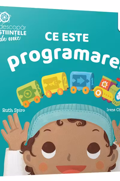 Ce este programarea