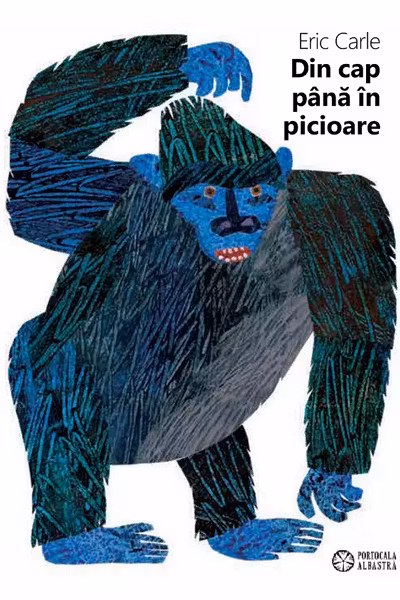 Din cap până în picioare. From Head to Toe