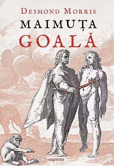 Maimuta goala