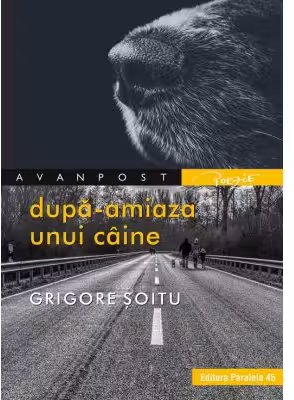 Dupa-amiaza unui caine