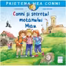 Conni si secretul motanului Miau