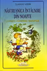 Năstrușnica întâlnire din noapte