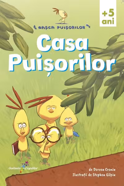 Casa Puisorilor