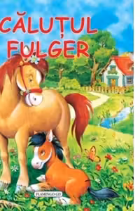 Calutul fulger - WILGA