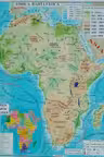 Africa + Australia