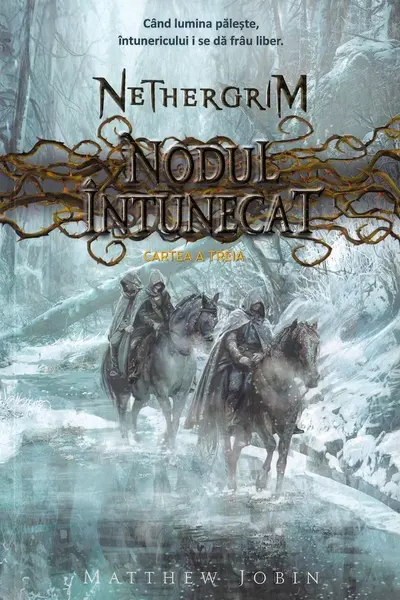 Nodul întunecat. Seria Nethergrim. Vol.3