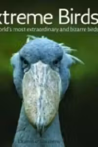 Extreme Birds: The World s Most Extraordinary and Bizarre Birds