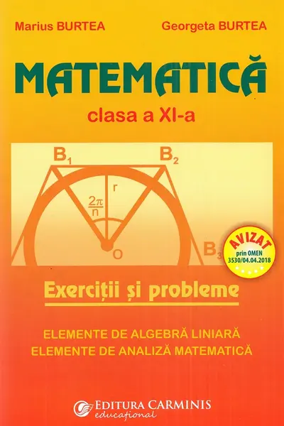 Matematica - Clasa 11 - Exercitii si probleme