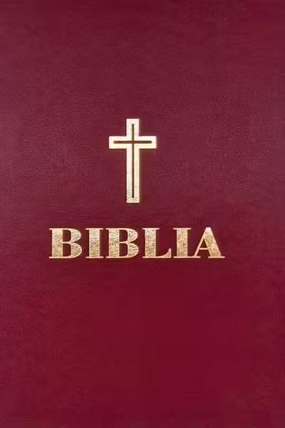 Biblia ortodoxa - handmade - IBT - format mare A4