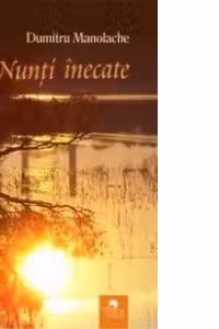 Nunti inecate. Fals tratat de supravietuire