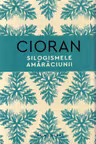 Silogismele amaraciunii