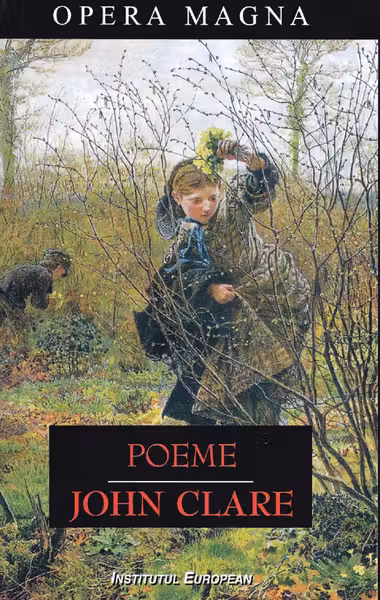 Poeme