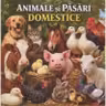 Animale si pasari domestice. Minienciclopedie pentru copii