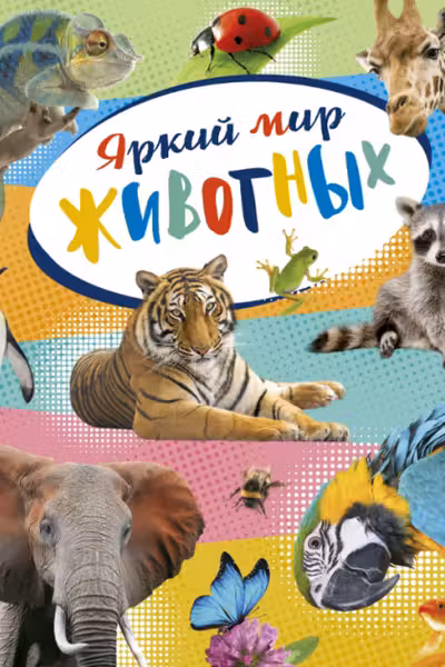 Яркий мир животных