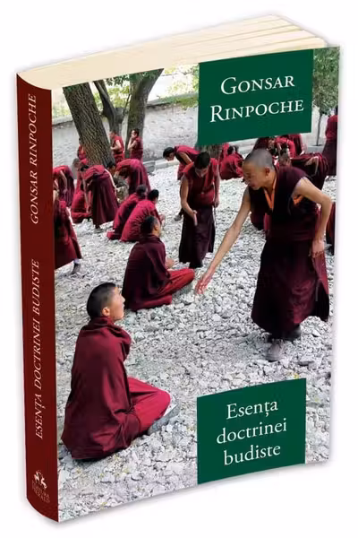 Esenta doctrinei budiste